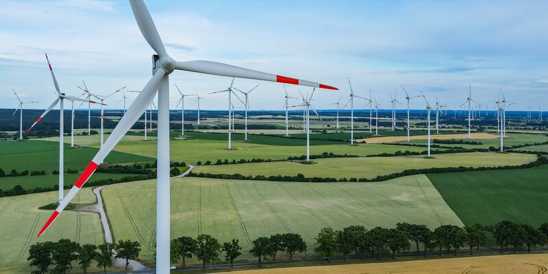 Windräder in Brandenburg. Bisher können die Rotorblätter nicht gut wiederwertet werden. - Foto: Patrick Pleul/dpa