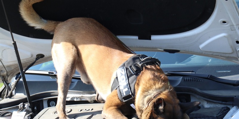 POL-VER: +Jugendlicher wird seit heute Morgen vermisst+(mit Bild) - Foto: presseportal.de