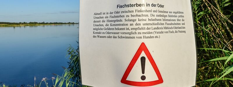 Ein Warnhinweis hängt bei Genschmar am Ufer der Oder. - Foto: Patrick Pleul/dpa
