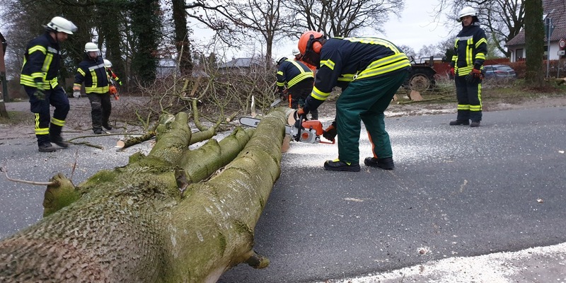 FFW Schiffdorf: Umgestürzter Baum blockiert Straße vollständig - Foto: presseportal.de