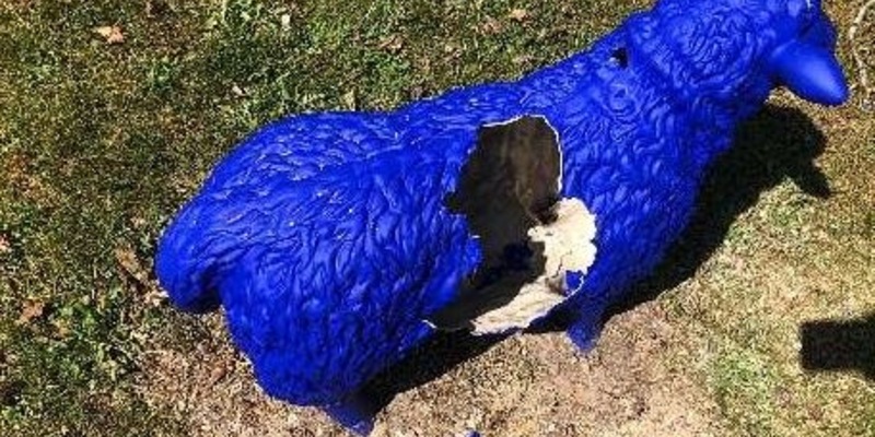 POL-PDLD: Ausgebüxte Schafe mit unerwarteter Geburt - Foto: presseportal.de