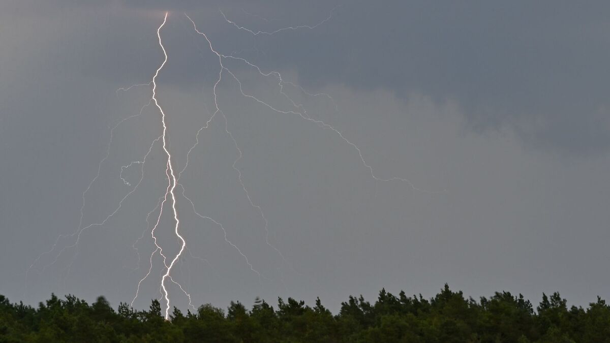 Ein Landwirt erntet mit seinem Mähdrescher Gerste auf einem Feld in Ostbrandenburg. - Foto: Patrick Pleul/dpa