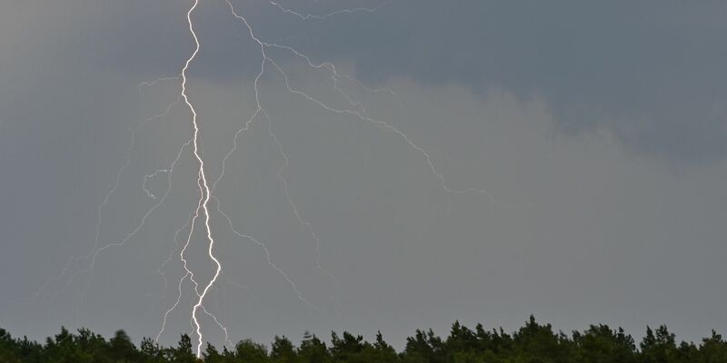 Brandspuren an einem Strommast nahe der Tesla-Autofabrik. - Foto: Patrick Pleul/dpa