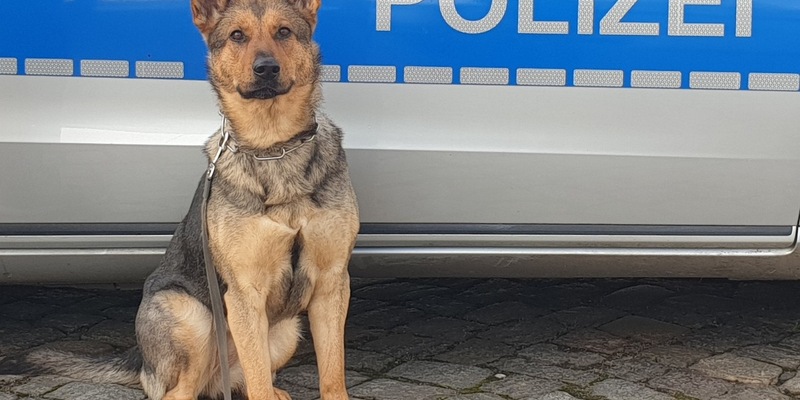 POL-HH: 250124-1. Vier vorläufige Festnahmen nach Einbruch in Gewerbebetrieb in Hamburg-Wilhelmsburg - Foto: presseportal.de