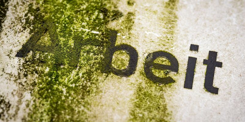 Das Arbeitsmarktbarometer des Instituts für Arbeitsmarkt- und Berufsforschung (IAB) ist zum siebten Mal in Folge gesunken (Symbolbild). - Foto: Sina Schuldt/dpa