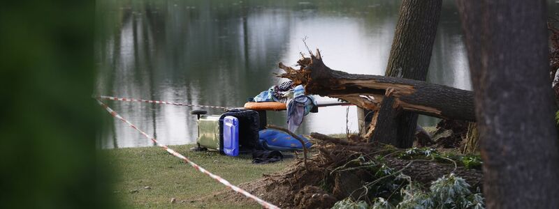 Bei einem schweren Unwetter sind in Österreich zwei Kinder von umstürzenden Bäumen erschlagen worden. - Foto: Erwin Scheriau/APA/dpa