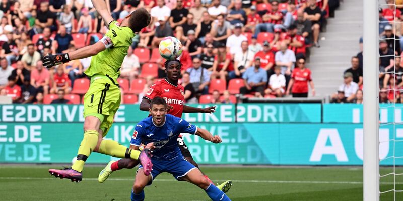 Hoffenheim jubelt über das Tor zum 2:1. - Foto: Federico Gambarini/dpa