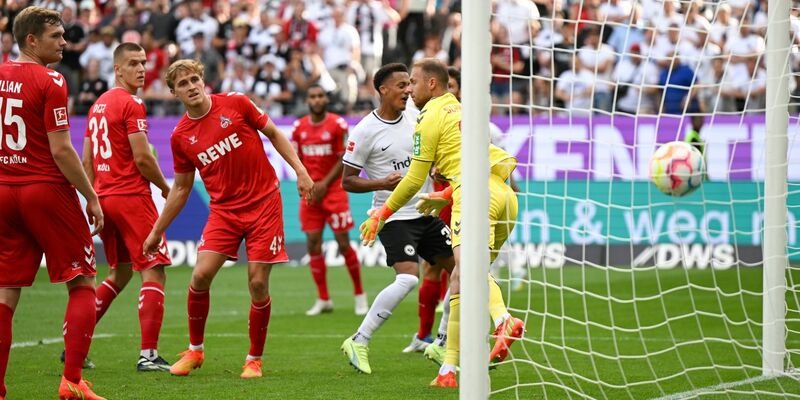 Remis in Frankfurt: Die Eintracht und der 1. FC Köln haben sich 1:1 getrennt. - Foto: Arne Dedert/dpa