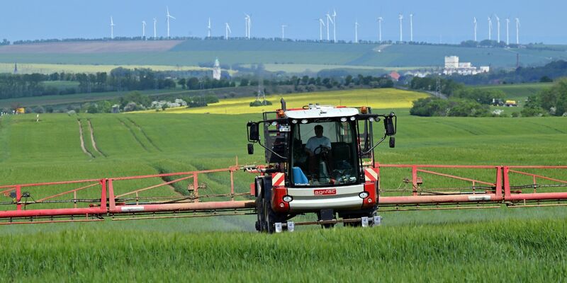 Der Einsatz von Pflanzenschutzmitteln auf den Feldern soll nach Plänen des Bundesagrarministeriums zurückgehen. - Foto: Martin Schutt/dpa