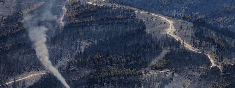 Eine Rauchwolke von einem Waldbrand steigt im Naturpark Serra da Estrela in Zentralportugal auf. - Foto: Joao Henriques/AP/dpa