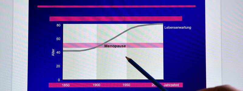 Eine Frauenärztin zeigt auf der Internetseite der Deutschen Menopause Gesellschaft eine Präsentation zu den Wechseljahren (Menopause). - Foto: Daniel Bockwoldt/dpa