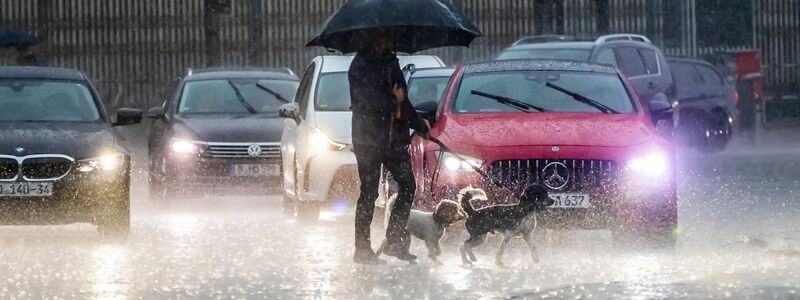 Ein Passant überquert mit seinem Hunden bei starkem Regen eine Straße nahe dem Brandenburger Tor. - Foto: Christoph Soeder/dpa