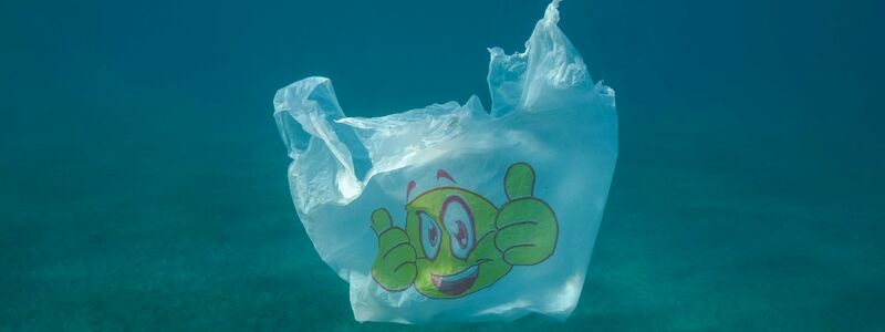 Wasser aus Plastikflaschen kann winzige Plastikteilchen enthalten. (Symbolbild) - Foto: Andrey Nekrasov/ZUMA Press Wire/dpa