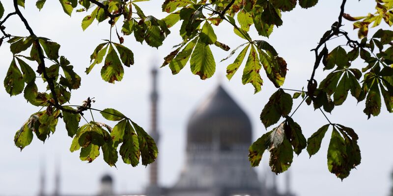 Die Töchter sowie die Ehefrau des inhaftierten Deutsch-Kubaners Luis  Frómeta Compte. - Foto: Sebastian Kahnert/dpa