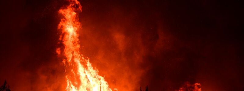 Flammen verbrennen einen Wald in der Nähe des Dorfes Galatsona auf der Insel Euböa, etwa 188 Kilometer nördlich von Athen. - Foto: Michael Varaklas/AP/dpa