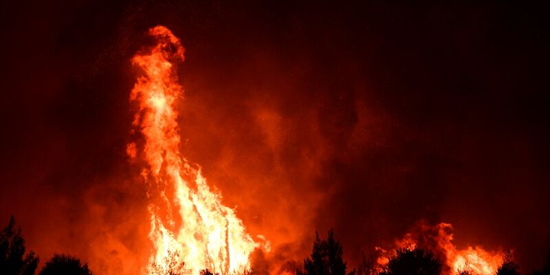 Das Feuer hinterlässt einen verbrannten Wald. - Foto: Michael Varaklas/AP/dpa