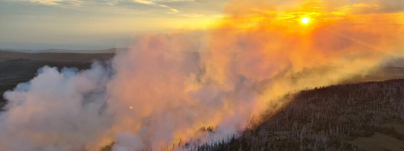Lichterloh brennt der Wald in einem gesperrten Teil des Nationalparks Harz. - Foto: Bundespolizei/Bundespolizeipräsidium Potsdam/dpa