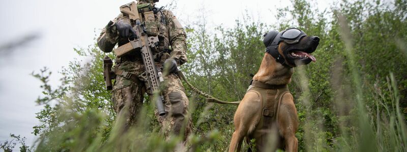 Ein Soldat des Kommando Spezialkräfte (KSK) der Bundeswehr mit einem sogenannten Zugriffsdiensthund. - Foto: Marijan Murat/dpa