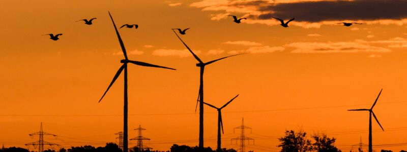 Beim Bau von Windrädern macht Deutschland Fortschritte. Doch in anderen Bereichen hakt es beim Klimaschutz weiter. - Foto: Julian Stratenschulte/dpa