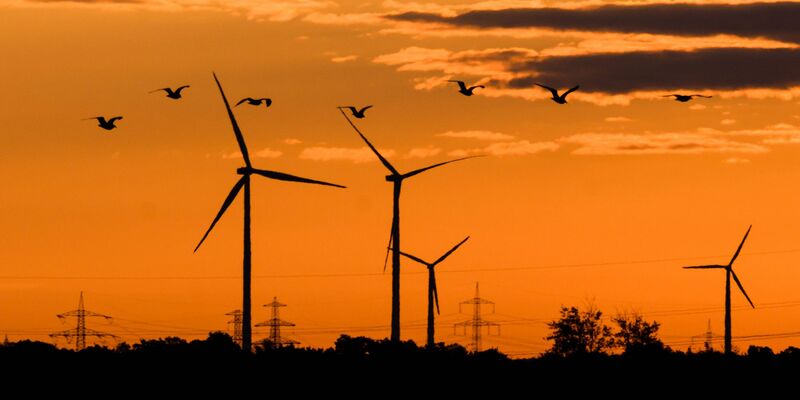 Im Norden Deutschlands wird mehr Ökostrom produziert als verbraucht, im Süden ist es umgekehrt. - Foto: Julian Stratenschulte/dpa