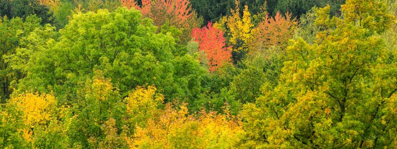 Der Montag startet oftmals bewölkt oder neblig trüb - aber vielerorts ist in den nächsten Tagen Besserung in Sicht. - Foto: Julian Stratenschulte/dpa