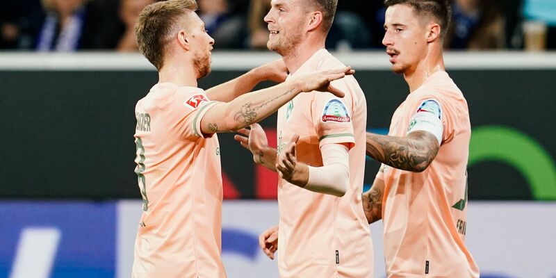 Da war die Welt für die TSG Hoffenheim noch in Ordnung: Jubel über das 1:0-Führungstor gegen Bremen. - Foto: Uwe Anspach/dpa