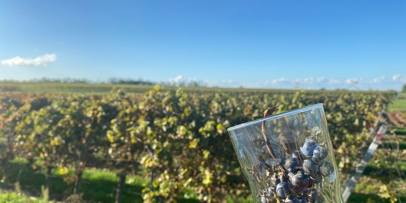 FW-MH: PKW-Brand auf der A40 - Foto: presseportal.de