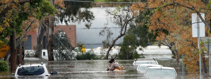 Ein Mann watet mit seinem Hund auf dem Arm durch das Hochwasser in Melbourne. - Foto: Nathan Coote/AAP/dpa