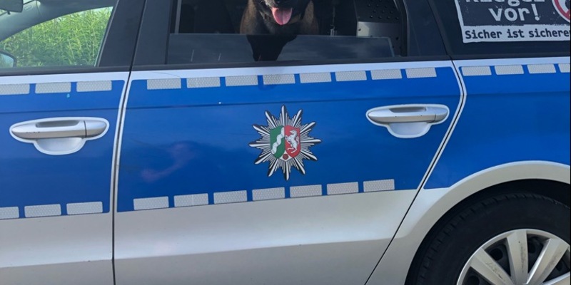 POL-DO: Diensthund Jack stellt Dieb - Polizei nimmt Tatverdächtigen fest - Foto: presseportal.de