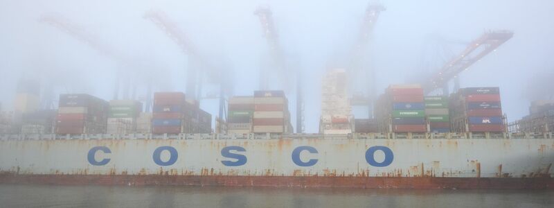 Das Containerschiff Cosco Pride liegt im dichten Nebel am Containerterminal Tollerort im Hamburger Hafen. - Foto: Jonas Walzberg/dpa