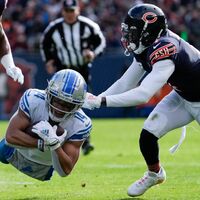 Die Chicago Bears bekommen es als Zweitplatzierter in der NFC in der ersten Playoff-Runde mit Green Bay zu tun. - Foto: Nam Y. Huh/AP/dpa