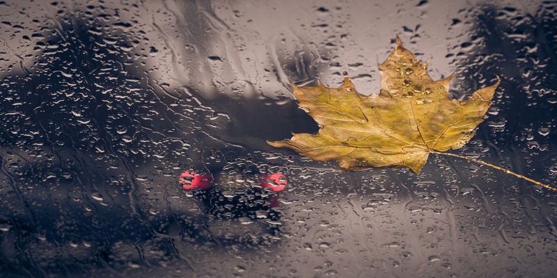 POL-PILEK: Sicherheit in der dunklen Jahreszeit - Polizei kündigt Verkehrskontrollen an - Foto: presseportal.de