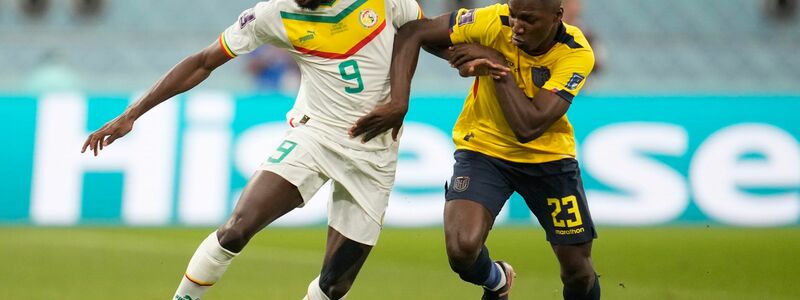 Senegals Boulaye Dia (l) und Ecuadors Moises Caicedo kämpfen im Zweikampf um den Ball. - Foto: Natacha Pisarenko/AP/dpa