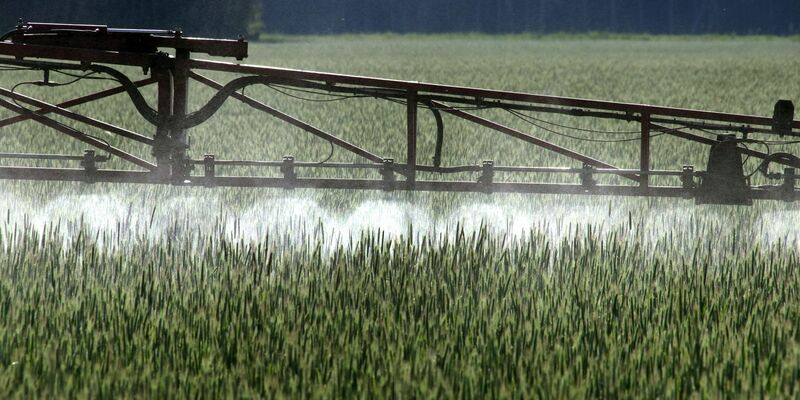 Je mehr Pflanzenschutzmittel auf den umgebenden Äckern eingesetzt wurden, desto stärker waren die Gewässer mit deren Rückständen belastet. - Foto: Peter Förster/dpa