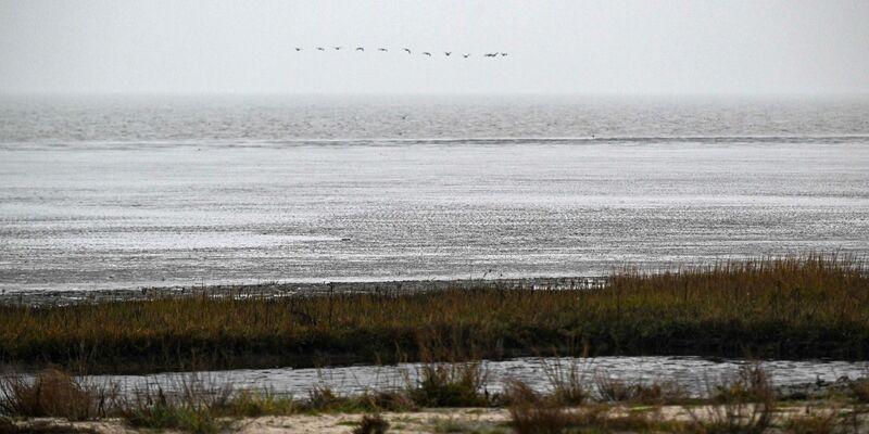 Ein Forschungsteam hat untersucht, wie sich das Wattenmeer verändert hat. (Archivfoto) - Foto: Sina Schuldt/dpa