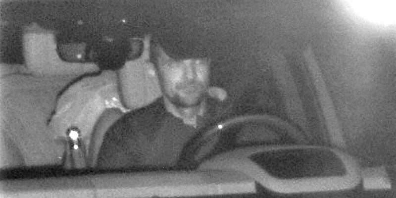 POL-SZ: Pressemitteilung der Polizeiinspektion SZ/PE/WF vom 09.12.2024. - Foto: presseportal.de