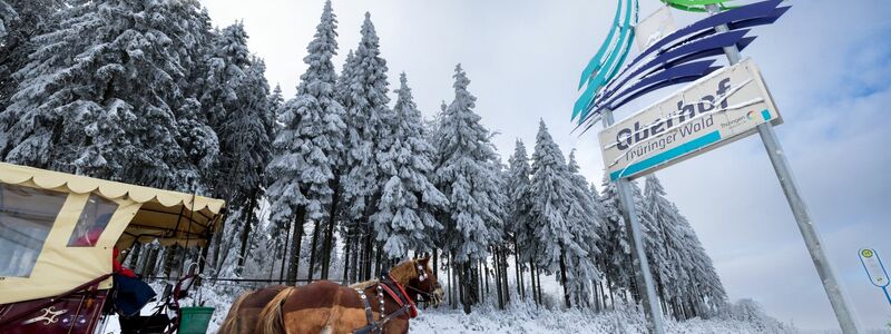 Eine Pferdekutsche im thüringischen  Wintersportort Oberhof. - Foto: Michael Reichel/dpa-Zentralbild/dpa