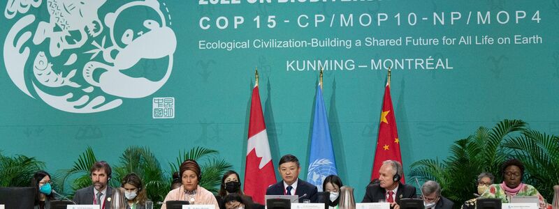 Huang Runqiu (M), chinesischer Minister für Ökologie und Umwelt, beim Weltnaturgipfel. - Foto: Ryan Remiorz/The Canadian Press/AP/dpa