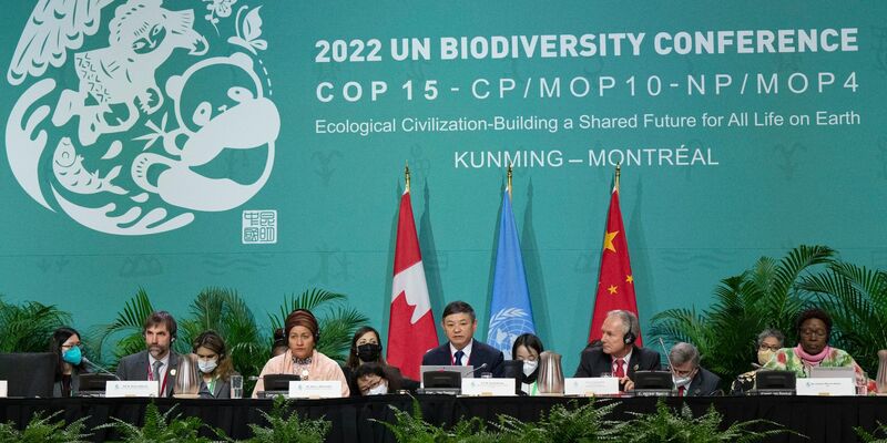 Vor genau einem Jahr haben sich rund 200 Staaten beim COP15-Weltnaturgipfel in Montreal auf einen besseren Schutz der Natur geeinigt. - Foto: Ryan Remiorz/The Canadian Press/AP/dpa