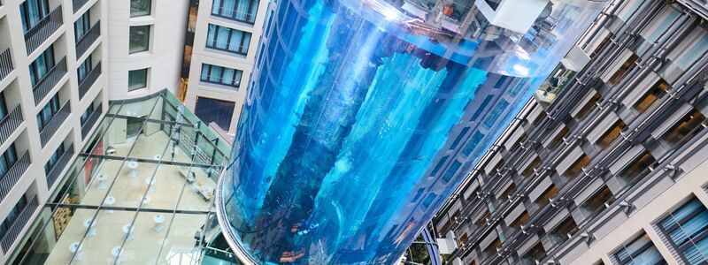 Das «größte freistehende zylindrische Aquarium der Welt»: Es ist im Jahr 2020 umfassend modernisiert worden. - Foto: Annette Riedl/dpa/Archiv