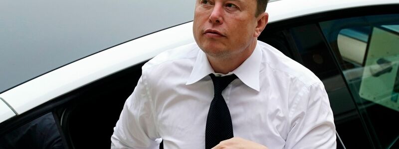 Der Tech-Milliardär und Trump-Vertraute Elon Musk startete einen verbalen Feldzug gegen die Behörde USAID. (Archivbild) - Foto: Matt Rourke/AP/dpa