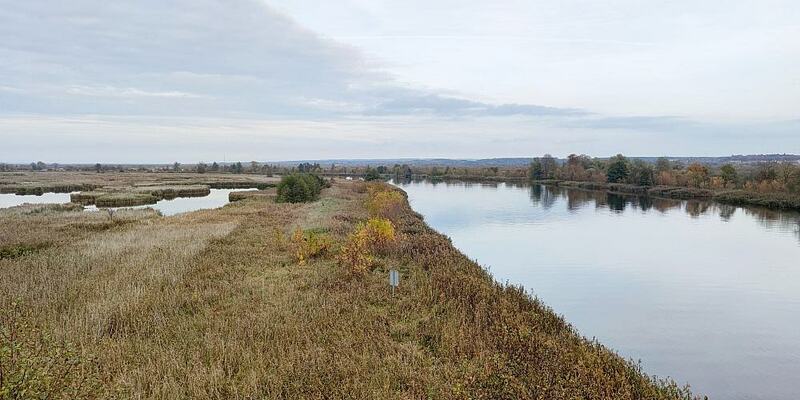 Nationalpark Unteres Odertal - Foto: ?ber dts Nachrichtenagentur
