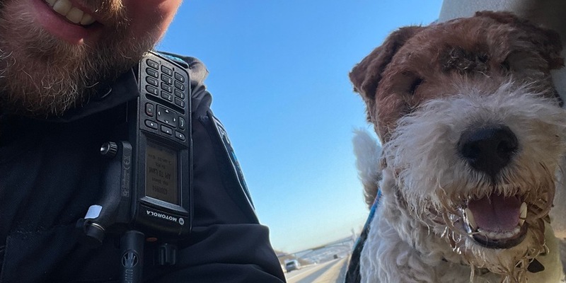 FW Stuttgart: - Vollbrand eines PKW's, sowie starke Rauchentwicklung - Brand droht auf weitere Fahrzeuge überzugreifen - Foto: presseportal.de