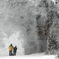 Regen statt Schnee - so lautet die Wettervorhersage des DWD für weite Teile Deutschlands.  - Foto: Federico Gambarini/dpa