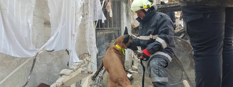 Helfer mit Hund der Katastrophenhilfseinheit Austrian Forces Disaster Relief Unit (AFDRU)im Einsatz. - Foto: Unbekannt/BUNDESHEER/APA/dpa