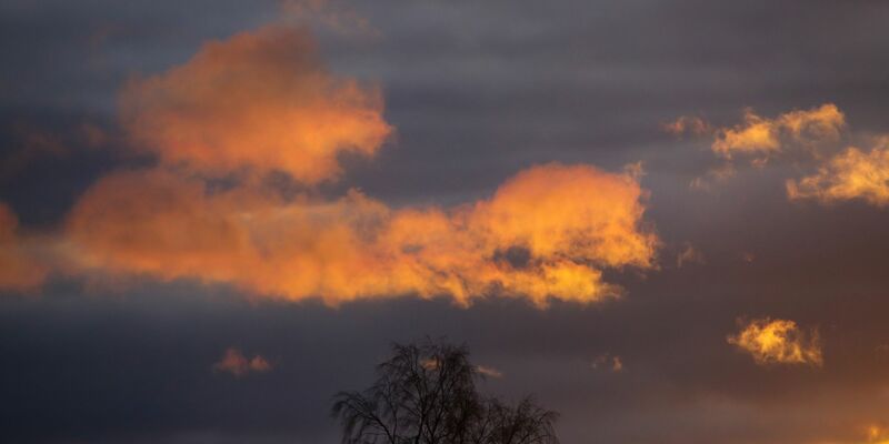 Seit Beginn der Aufzeichnungen war es auf der Erde nie heißer als im Jahr 2023. - Foto: Thomas Warnack/dpa