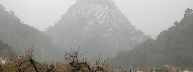 Das Wetter soll am Mittwoch auf Mallorca noch mieser werden. (Foto Archiv) - Foto: Clara Margais/dpa