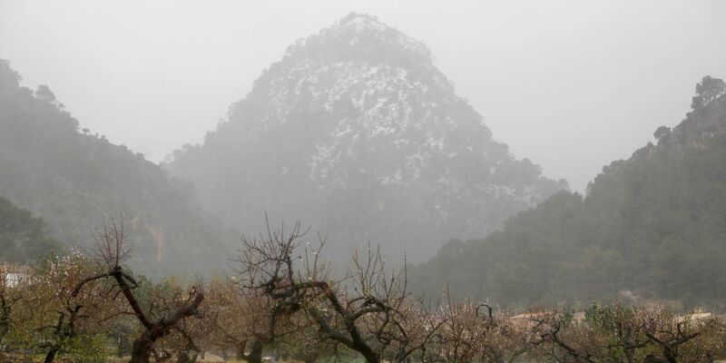 Angekündigt wurden bis zu 50 Liter Regen pro Quadratmeter. - Foto: Clara Margais/dpa