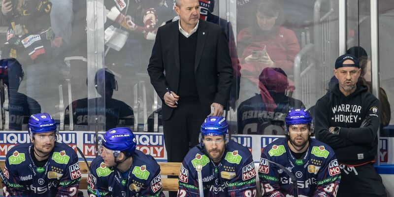 Auch die Eisbären Berlin erreichten das DEL-Finale. - Foto: Andreas Gora/dpa
