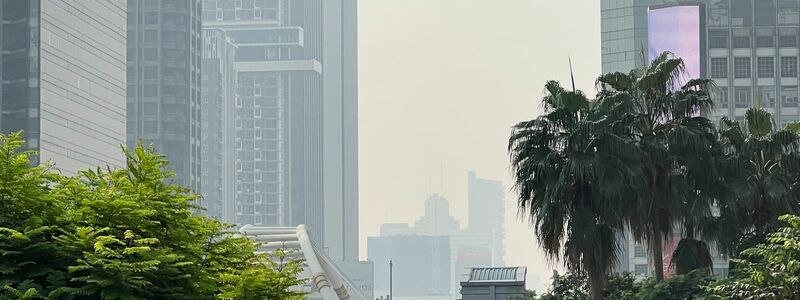 Auch Brandrodungen tragen zum gefährlichen Smog bei. - Foto: Carola Frentzen/dpa